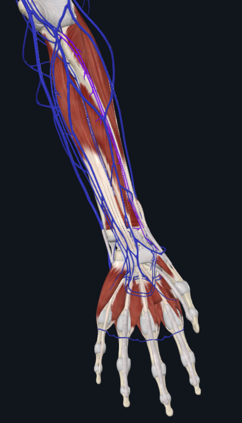 <p>What is highlighted</p>