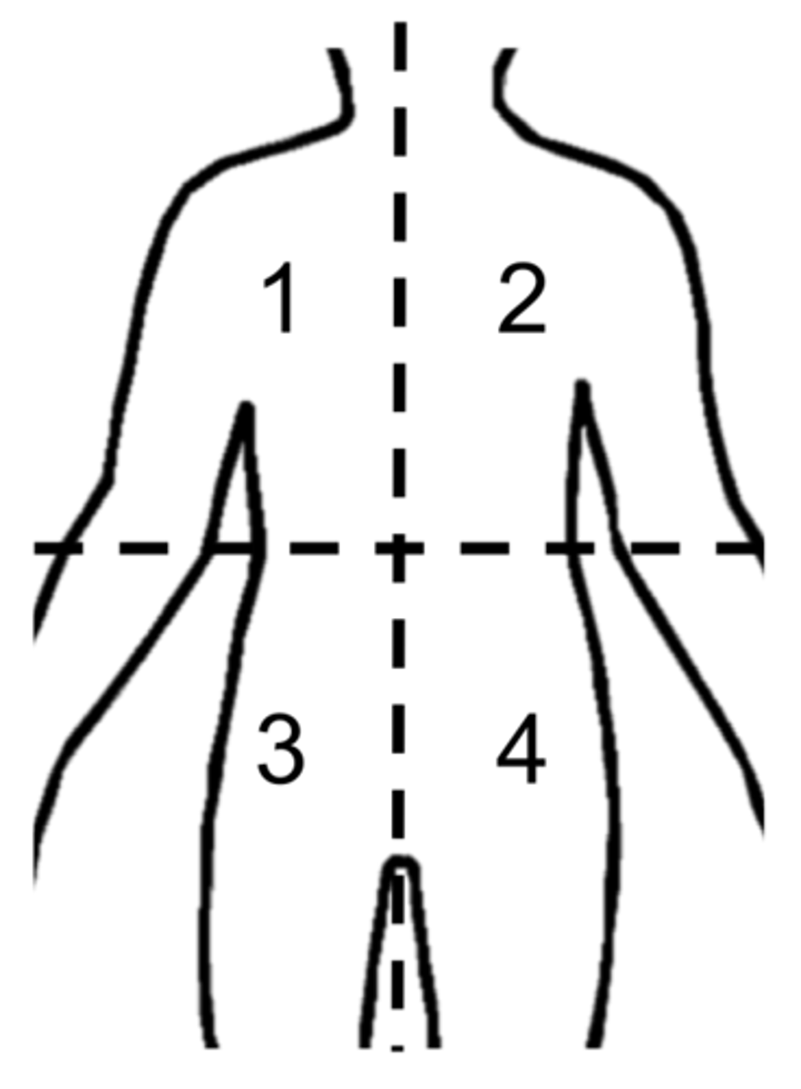 <p>#2</p>