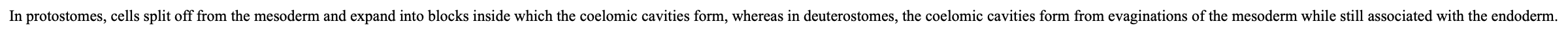            

Protostomes – undergo spiral cleavage = cells orient at angles to the main axis, results in a spiral. They also have determinate cell development which means cells have predetermined fate.

Deuterostomes – undergo radial cleavage = cells orient parallel to main axis resulting in stacking and they have indeterminate development, any cell can develop into complete organism.

           

In Protostomes, the first pore (blastopore) formed becomes the mouth (second opening later becomes anus).

In Deuterostome, the first pore becomes the anus (second opening later becomes mouth).

           

In protostomes, cells split off from the mesoderm and expand into blocks inside which the coelomic cavities form, whereas in deuterostomes, the coelomic cavities form from evaginations of the mesoderm while still associated with the endoderm.