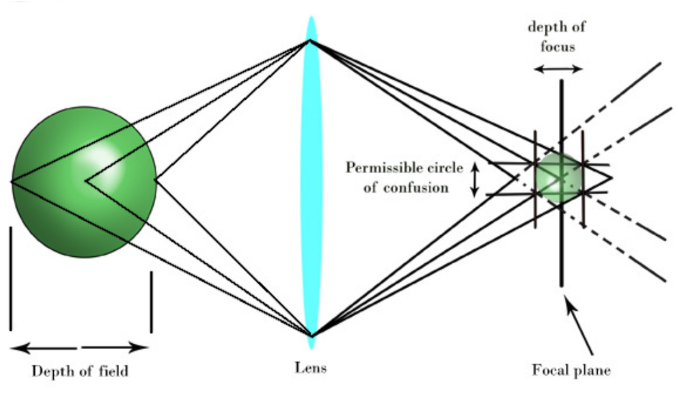 <p>Depth of field/focus</p>