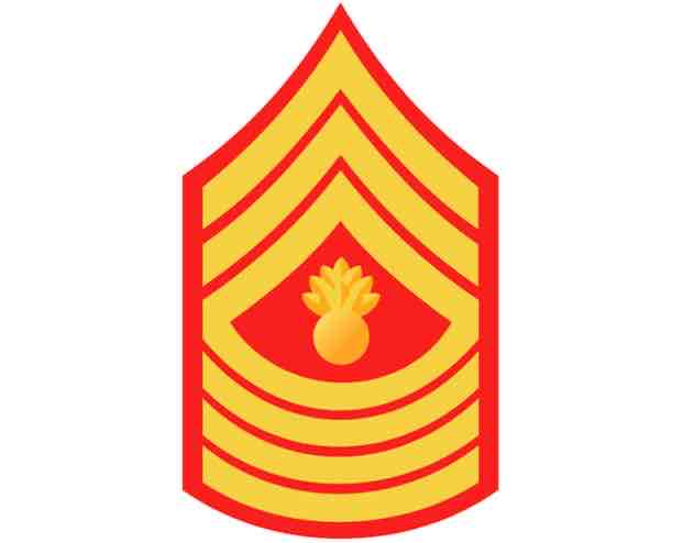 <p>e9-1</p>