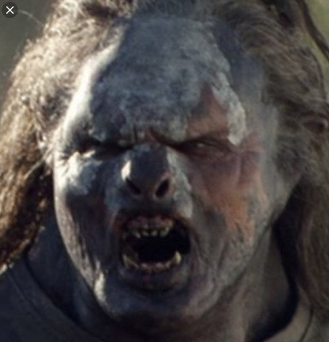 <p>An advanced breed of Orcs that are skilled fighters and are difficult to kill because they are 1/2 Elf.</p>