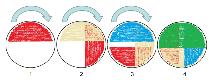 <p>Rotating of the technique results in <strong>confluent growth</strong></p>