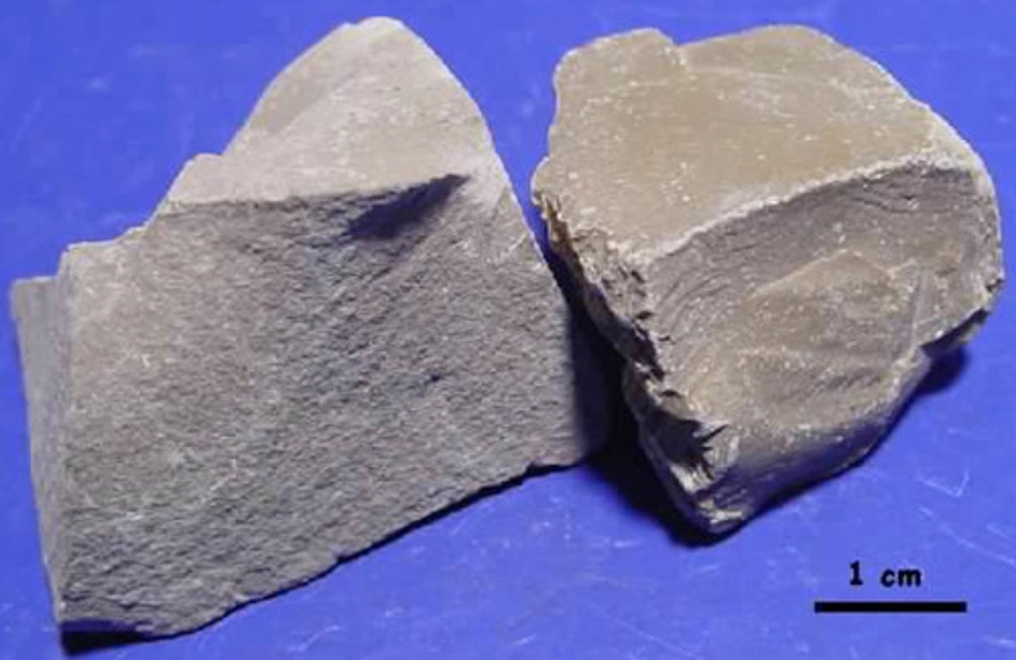 <p>Micrite (micritic limestone)</p>