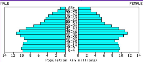 <p><strong>What stage of DTM is this? </strong></p>