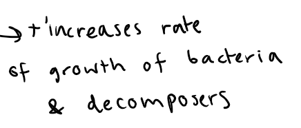<p>INCREASE- as there is higher kinetic energy → this means there will be more frequent successful collisions between the substrate and enzymes as well as between reactant molecules → so more enzyme-substrate complexes are formed → decomposers have a higher metabolic rate </p>