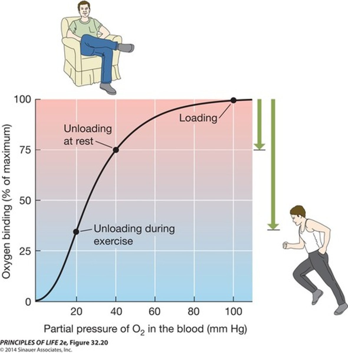 <p>high pressure (100) and high binding percent (100%)</p>