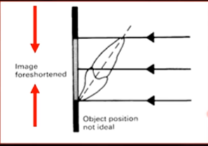 <p>image <strong>foreshortened</strong> </p>