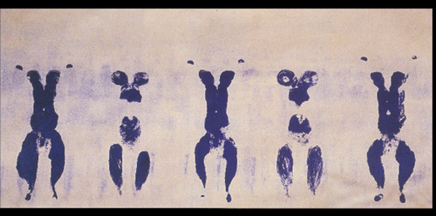 <p>-Focus on concept, not object</p><p>&gt;underlying idea or concept behind it</p><p>&gt;more about the experience, performance, or intellectual engagement it provoked</p><p>-Humor, particularly irony, was the only unifying characteristic</p><p>-Performance art, destruction of objects, utilization of the gallery space itself as art</p><p>-All about how far we can take art, "what is art?"</p><p>-Reaction against the Marshall Plan</p><p>-Attack on Modernism and Abstract Expressionism</p>