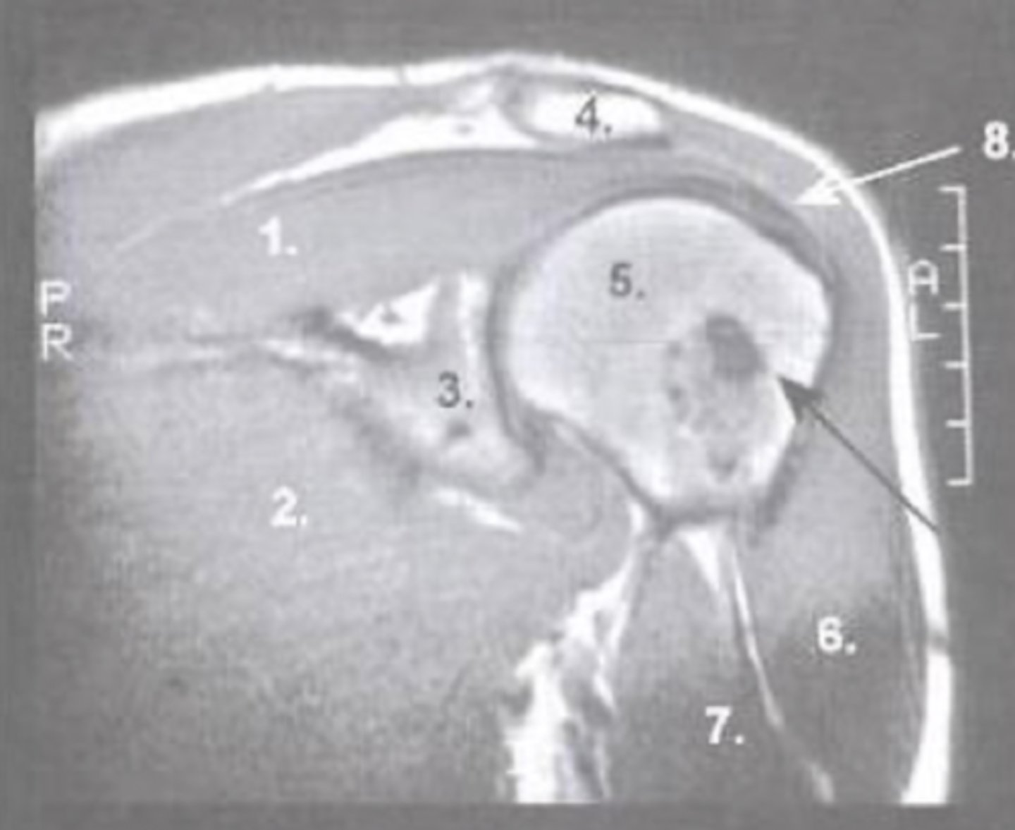 <p>What is number 7?</p>