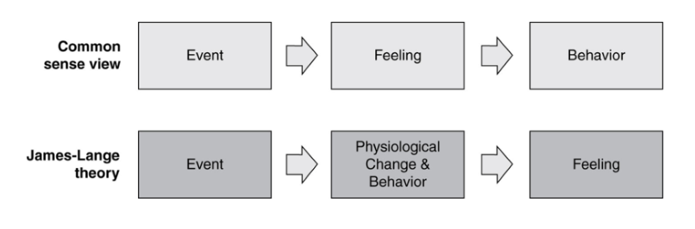 emotional feelings are based on body’s instinctive reaction to certain kinds of situations. feedback from physical experiences produce emotions 

the bodily changes follow directly the perception of the the situation, and our feeling of the same changes as they occur IS the emotion

sensation from the muscles and/or the internal organs is necessary for the full experience of emotion

every “shade of emotion” might be associated with a unique profile of changes throughout the body 