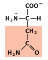 <p>Polar, neutral</p>