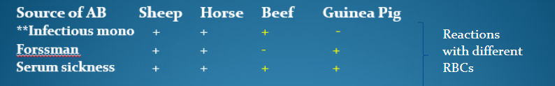 <p>inf mono Ab → absorbed by beef rbcs</p><p>Forssman Ab → ““ guinea pig rbcs</p><p>serum sickness by both beef &amp; guinea pig (rxn to protein in antiserum of non-animal source)</p><p>rapid latex test “monospot” : purified bovine rbc extract as Ag</p><p>Paul-Bunnel test: used to titer pt’s serum (EBV-mono)</p>