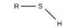 <p>Identify the functional group</p>