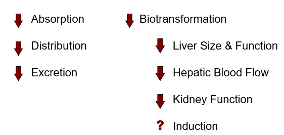 <p>The following describes the effects of what?</p>