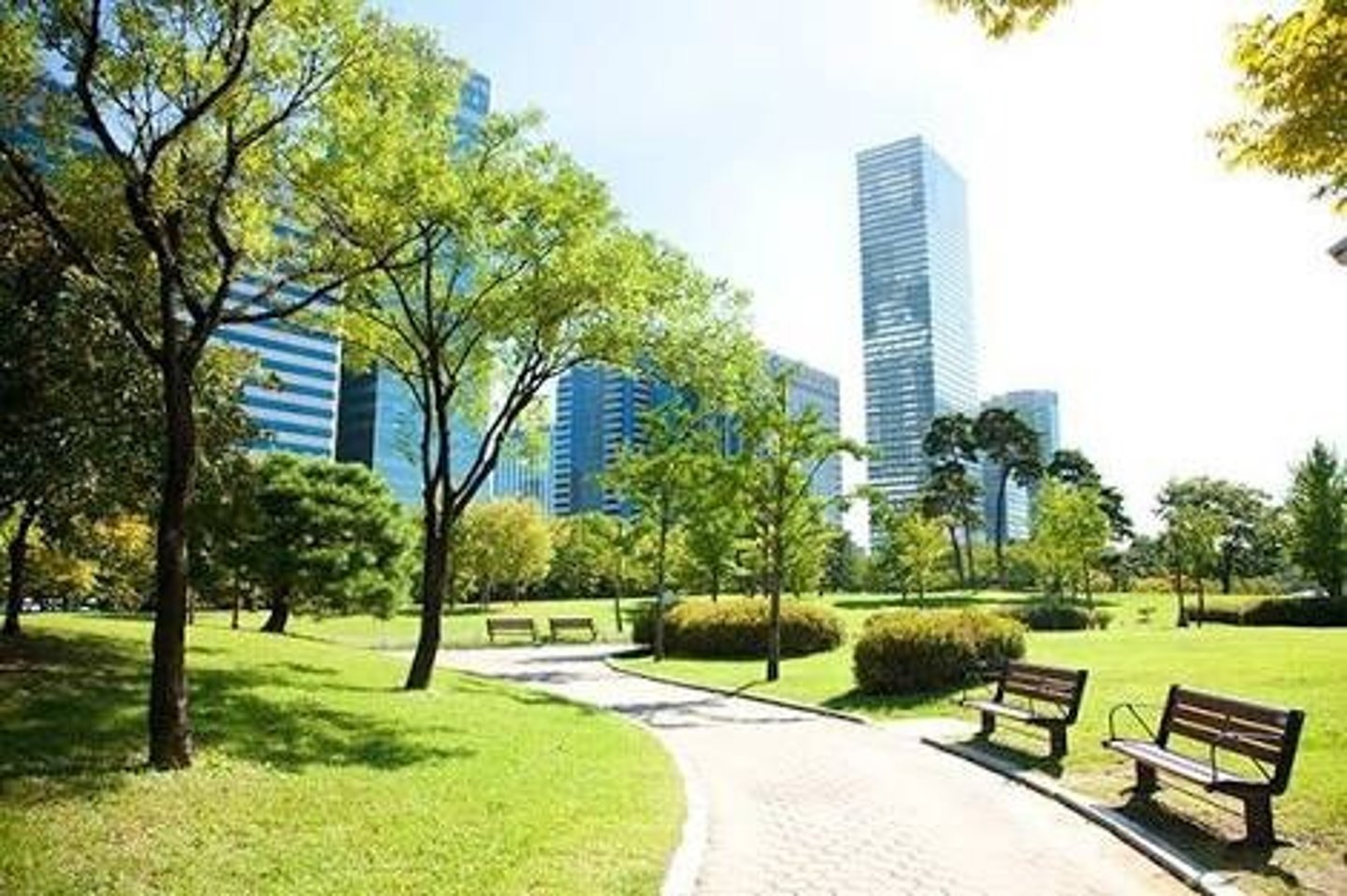 <p>parco 🏞️⛲</p>