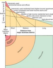 <ul><li><p>Highest rental and purchase prices</p></li><li><p>The intersection where the major mass transit lines converged was called the peak land value intersection.</p></li><li><p>Department stores and other retail outlets.</p></li><li><p>Tall office buildings and principal hotels.</p></li></ul><p></p>