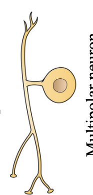 <p>?</p>