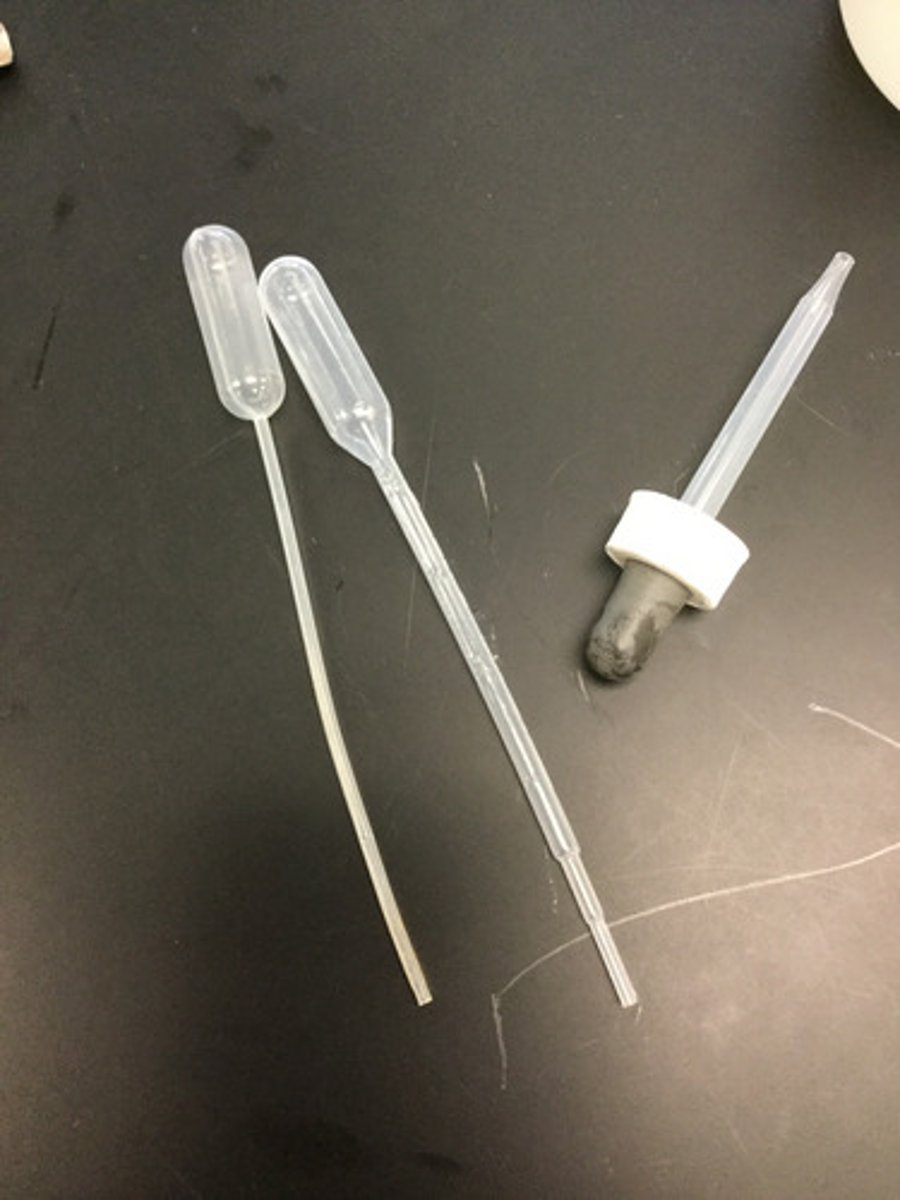 <p>Used to transport a measured volume of liquid</p>