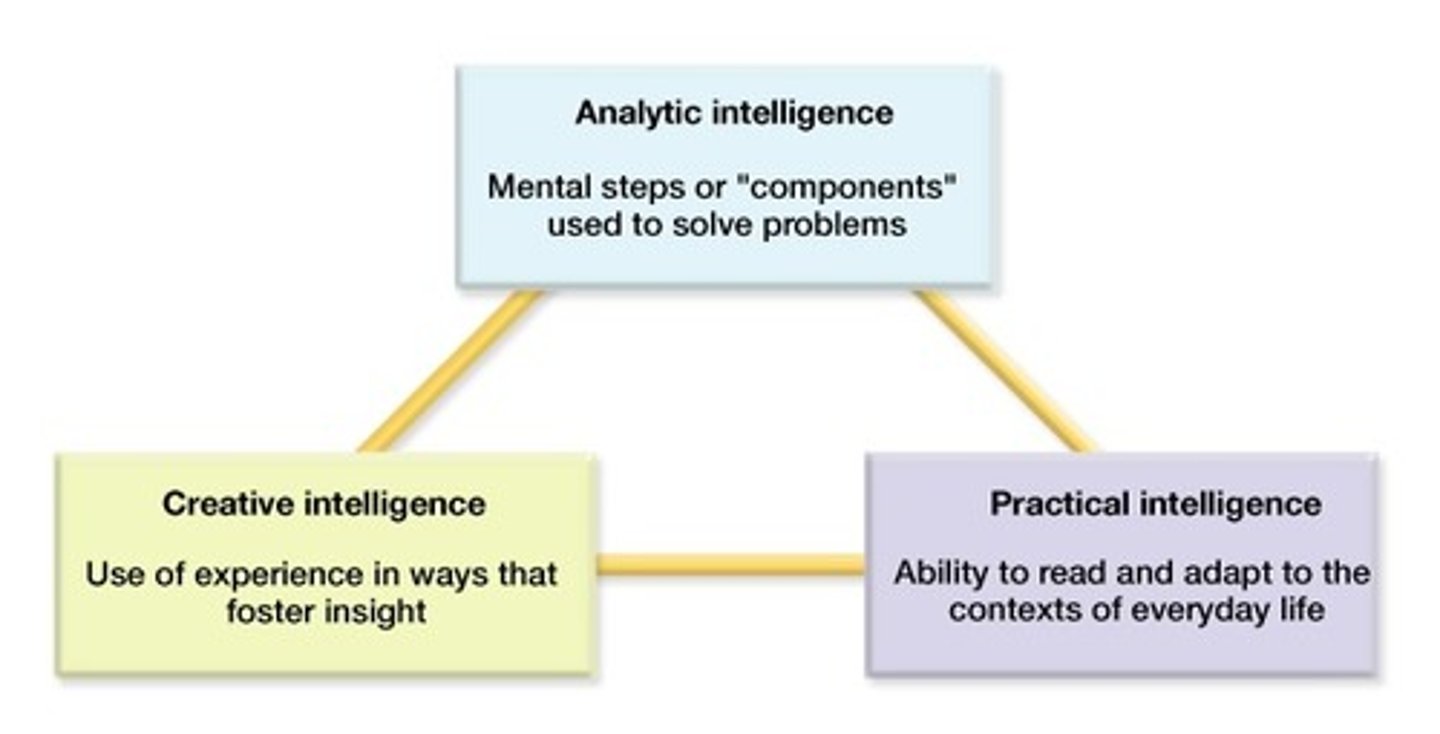 <p>(C) Triarchic Theory of Intelligence</p>