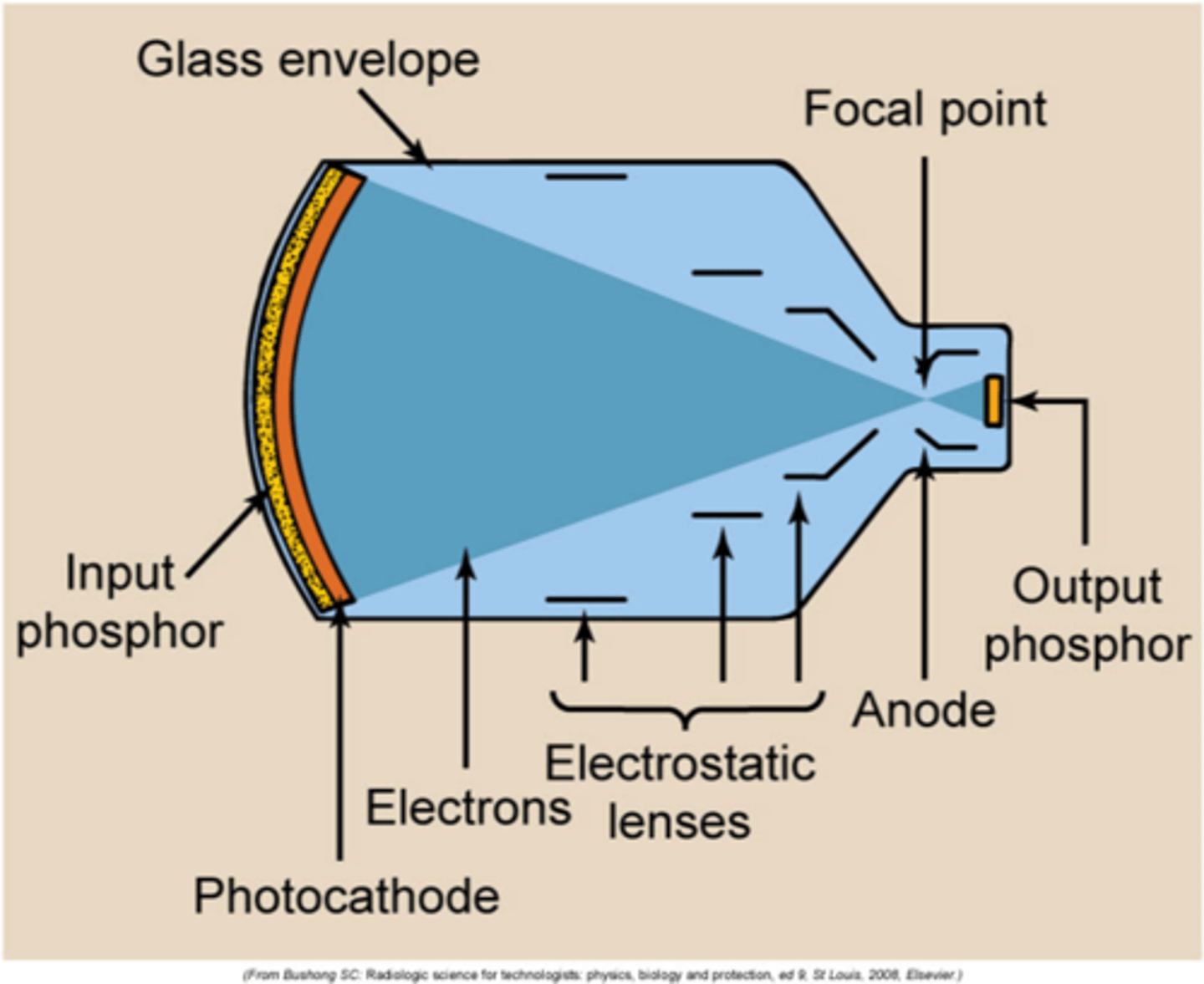 <p>1. input phosphor</p><p>2. photocathode</p><p>3. focusing lens</p><p>4. anode</p><p>5. output phosphor</p>