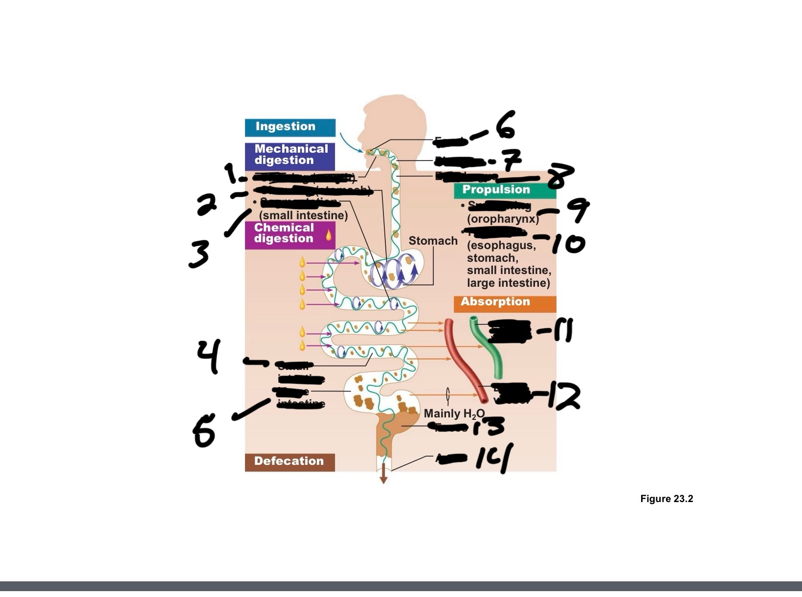 <p>11</p>