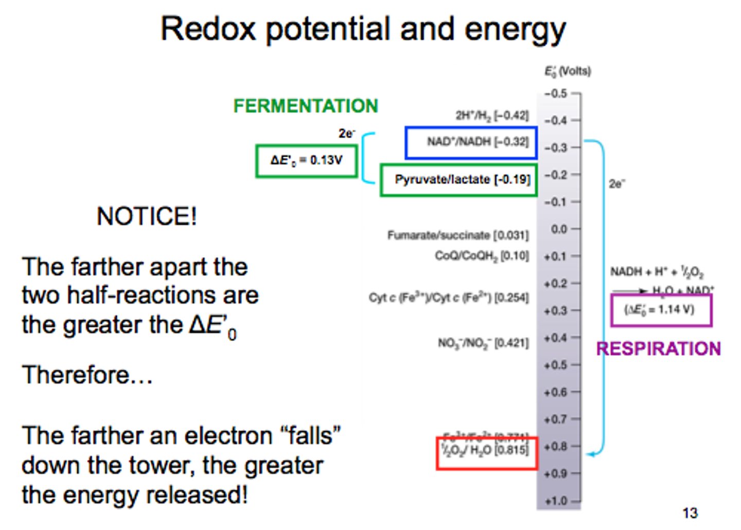 <p>Tool that ranks the ability to accept or donate in relation to other half reactions. The more positive it is, the more likely it is to accept electrons</p>