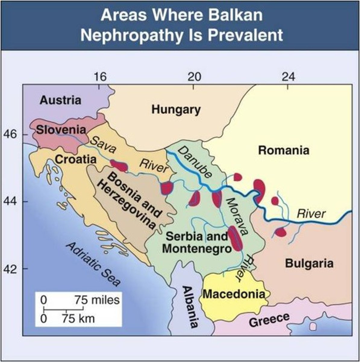 <p>A region in Southeastern Europe known for its history of conflict and ethnic tension. The countries are Bulgaria and Albania. Serbia, Greece, Romania, and Montenegro. Serbia nationalists who were angry with A-H wanted a free Bosnia and Herzegovina, they killed the heir to A-H</p>