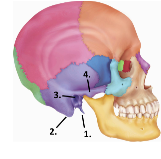 <p>2</p>