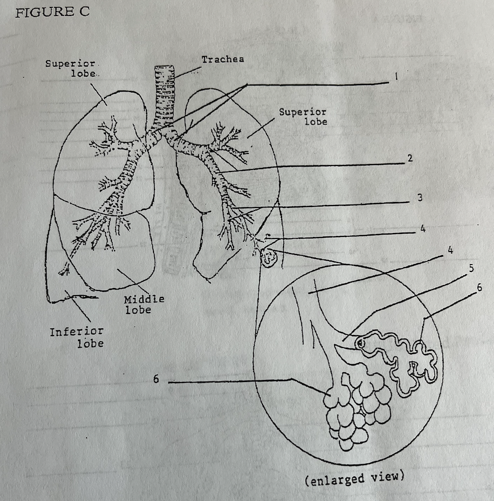 <p>what is 2</p>