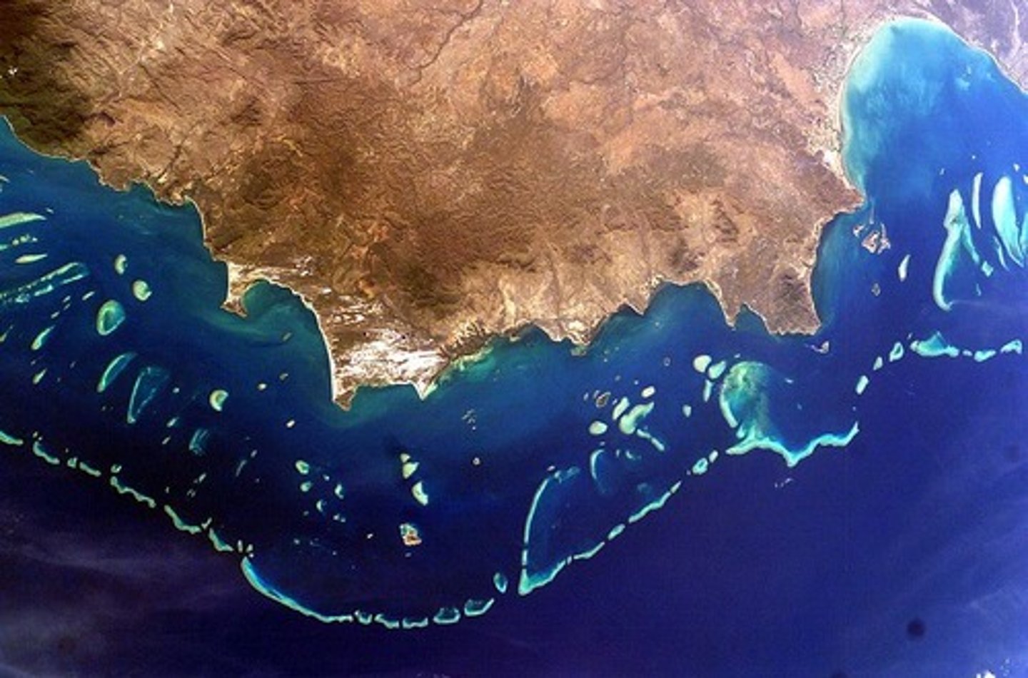 <p>forms a barrier between the open ocean and the island</p>