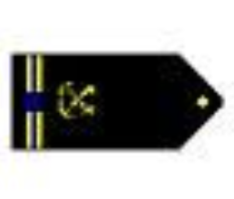 <p>Two thin gold stripes with one blue break outboard a specialty insignia</p>