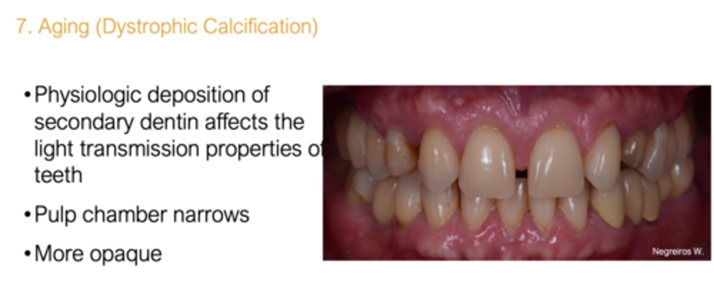 <p>Aging (dystropic calcification)</p>
