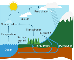 <p>suns energy that circulates water through evaporation, condensation, and precipitation.</p><p></p>