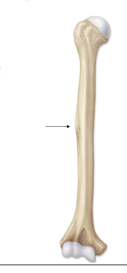 <p>what is this </p>