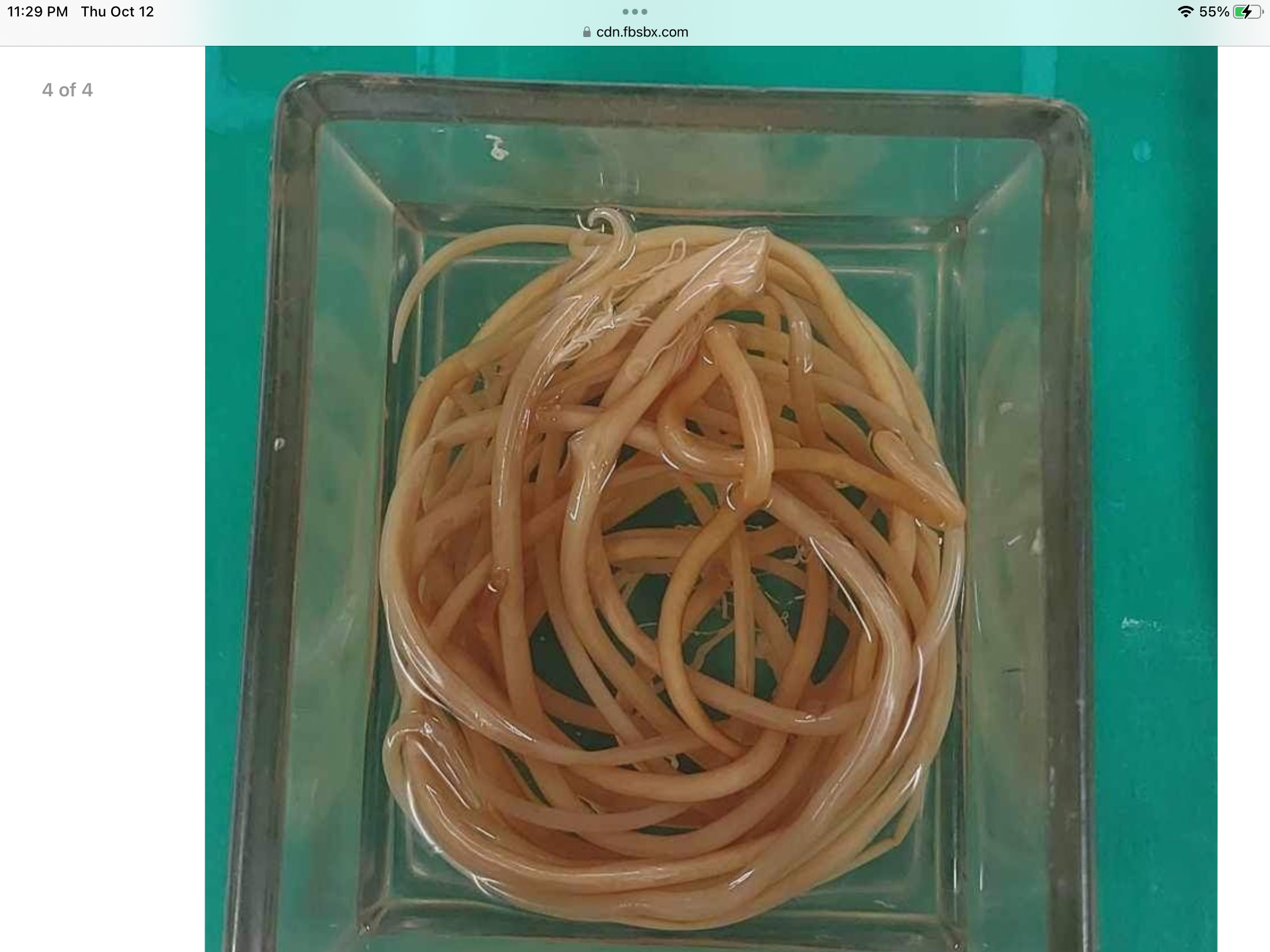 <p></p>