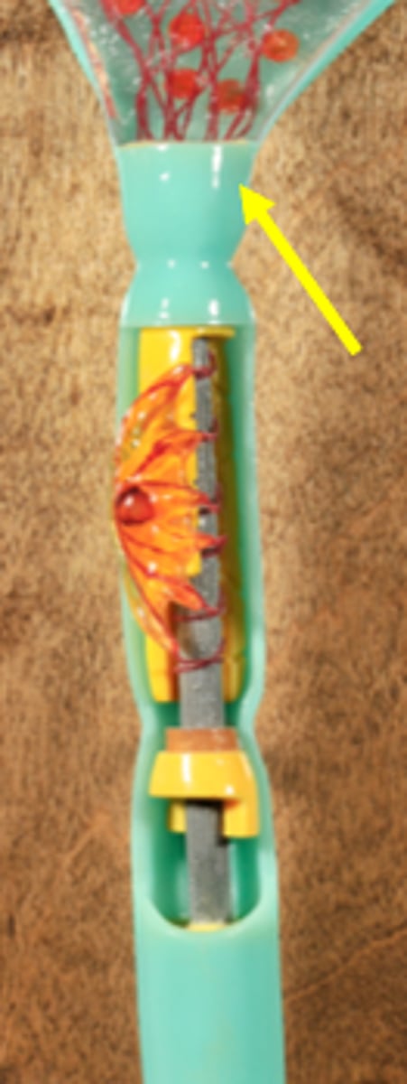 knowt flashcard image