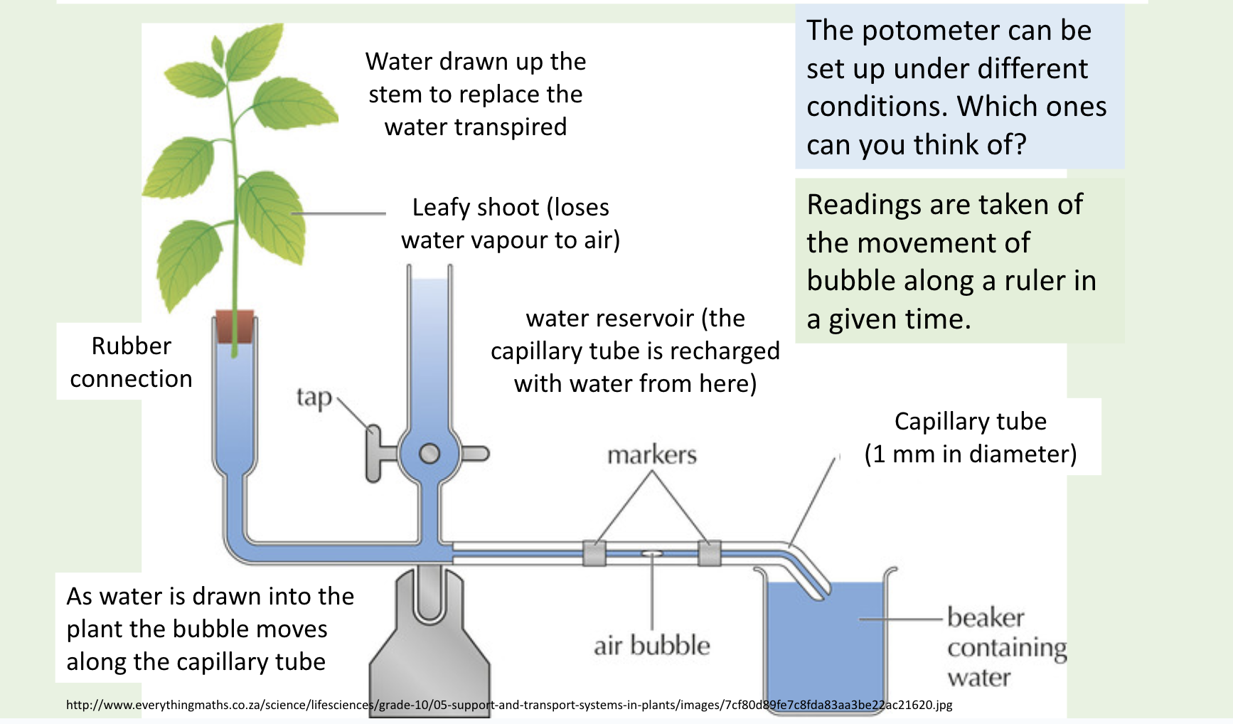 <p>What do you need to do if you are doing another trial with a potometer?</p>