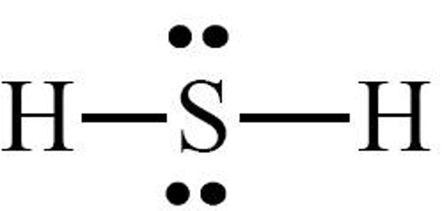 <p>Bent or V-shaped</p>