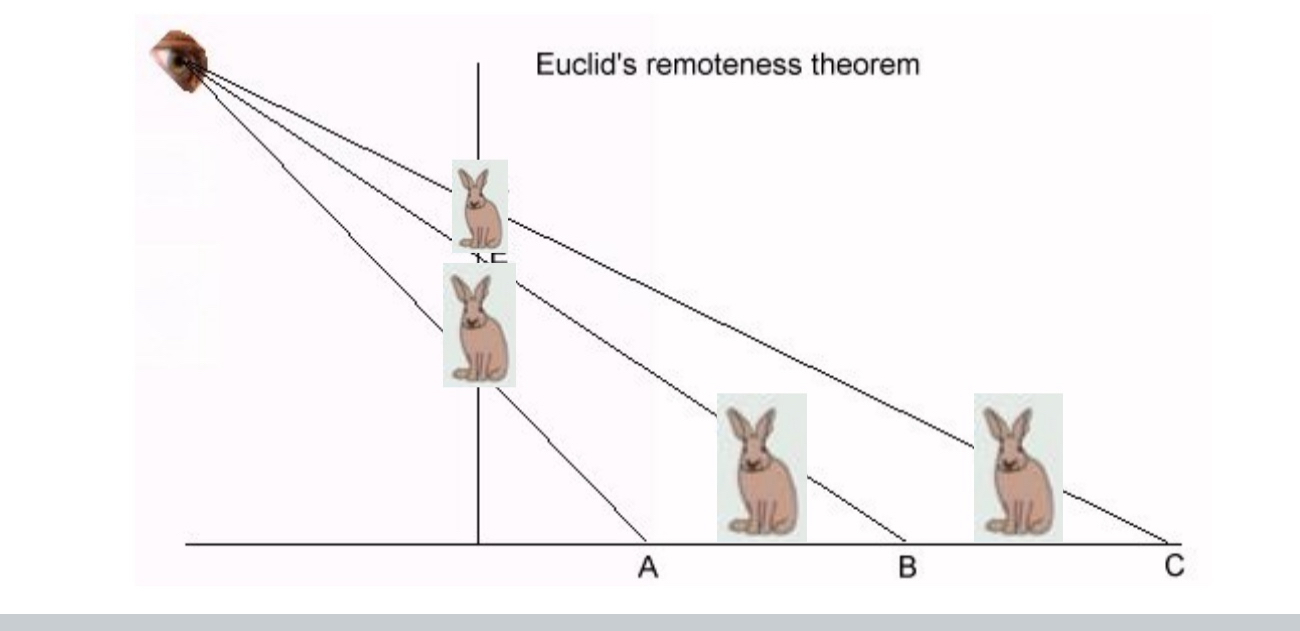 <ul><li><p>Euclid’s Remoteness Theorem states that&nbsp;<strong>more distant points</strong>&nbsp;on a surface&nbsp;<strong>below the eye</strong>&nbsp;(like a floor or ground plane) will appear&nbsp;<strong>higher in the visual image</strong>.</p><ul><li><p>For example, segment&nbsp;<strong>BC</strong>&nbsp;(farther away) appears&nbsp;<strong>higher</strong>&nbsp;in the image than segment&nbsp;<strong>AB</strong>&nbsp;(closer), even though both lie on the same ground plane.</p></li><li><p>This principle helps the brain interpret&nbsp;<strong>depth and distance</strong>&nbsp;in flat 2D images using&nbsp;<strong>projection geometry</strong>.</p></li></ul></li><li><p>Natural scene statistics</p><ul><li><p>The visual system uses&nbsp;<strong>natural scene statistics</strong>—regularities found in the natural world—to&nbsp;<strong>interpret ambiguous visual input</strong>.</p></li><li><p>These expectations (like the ground being below us and receding into the distance) help guide&nbsp;<strong>depth perception</strong>and shape our assumptions about 3D space.</p></li></ul></li></ul><p></p>