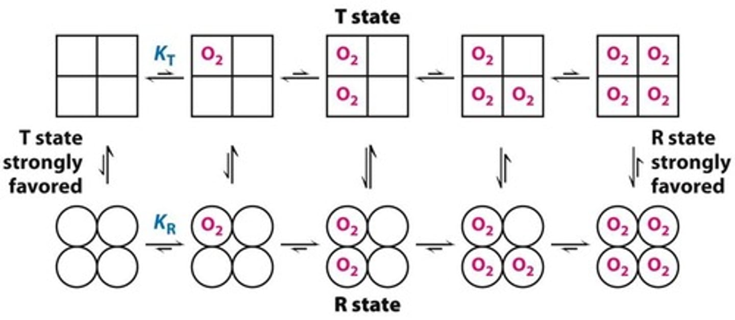 <p>prefer tense state when nothing is bound</p><p>prefer relaxed state when stuff if bound</p>