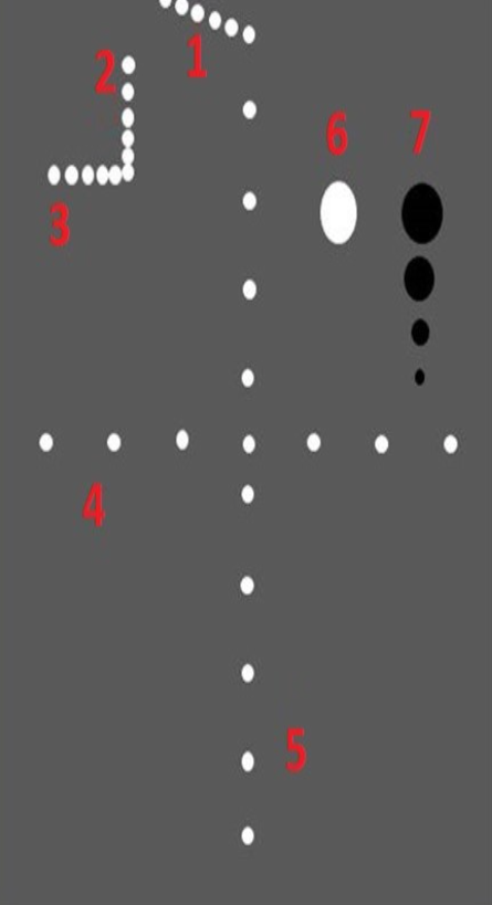 <p>Identify this image. </p>