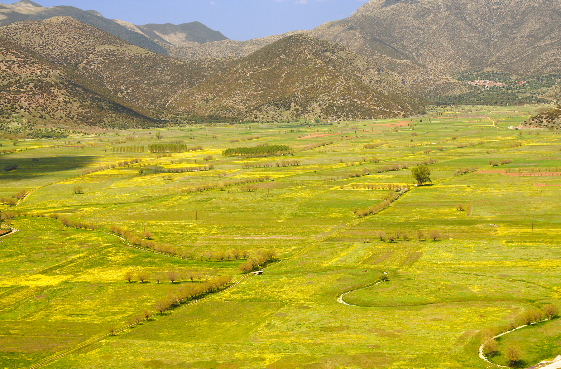 <p>Depresiones de fondo plano desarrolladas por disolución vertical. Pueden llegar a los 50km de longitud.</p><p>Hay presencia de ponors.</p>