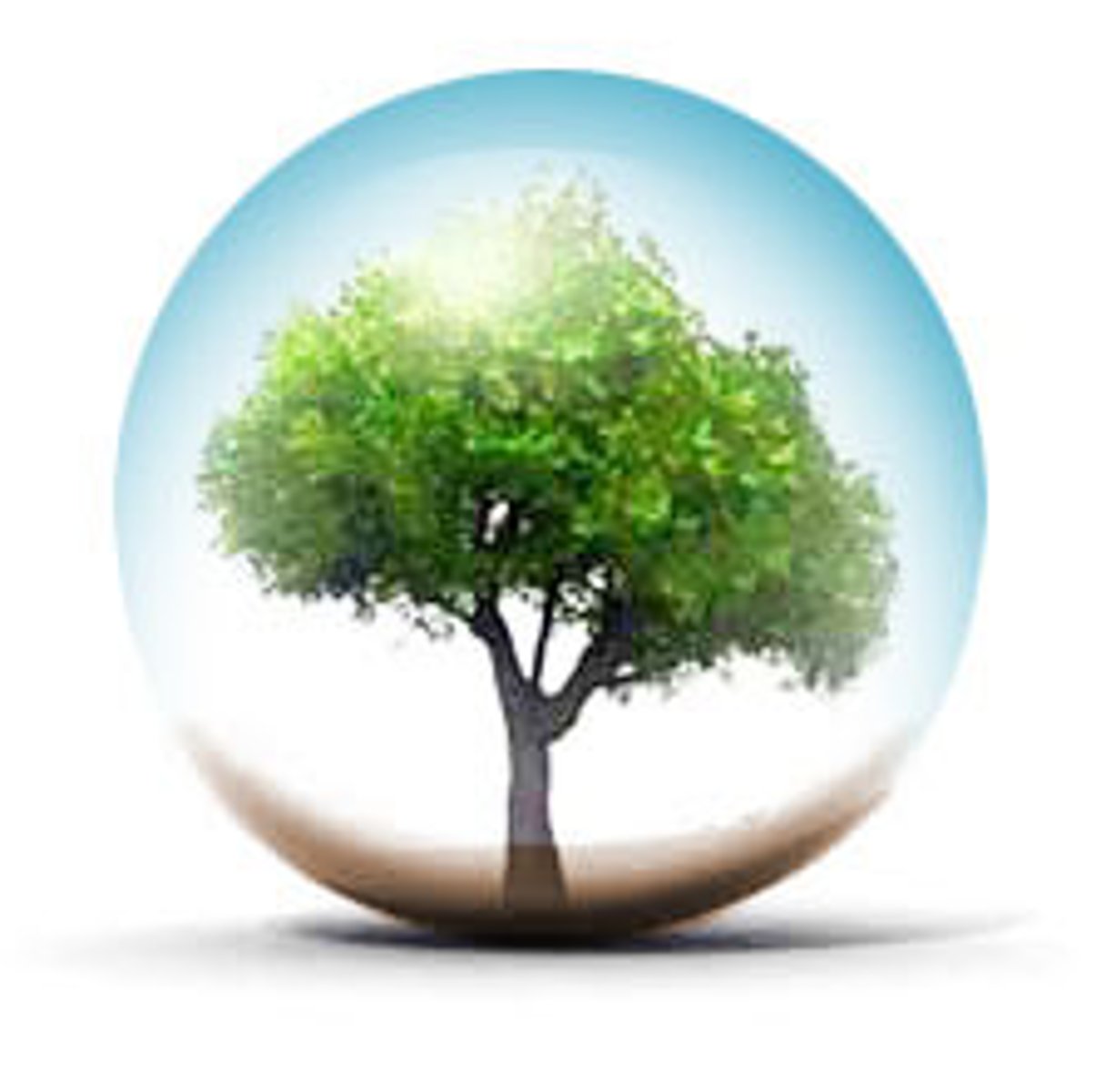 <p>environment</p>