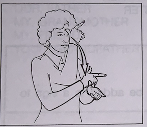 knowt flashcard image
