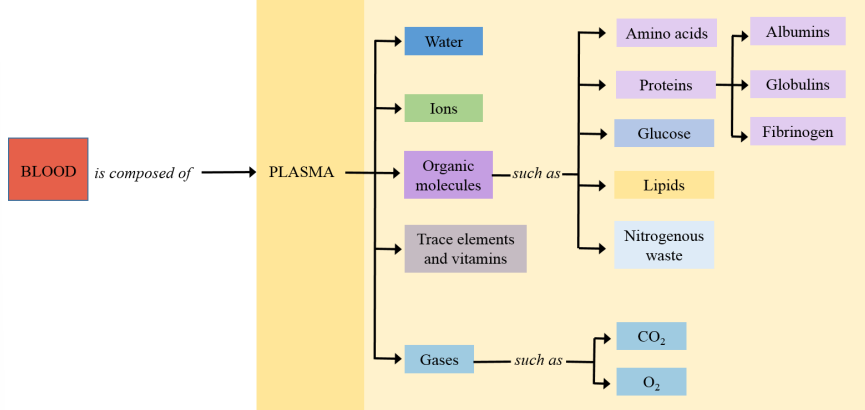 <ul><li><p>Liquid portion of the blood. Mainly water (&gt;90%).</p></li><li><p>Electrolytes, organic molecules, trace elements and gases.</p></li><li><p>Substances being transported (O₂ and CO₂, nutrients, waste products, hormones).</p><ul><li><p>Know the chart.</p></li></ul></li></ul><p></p>