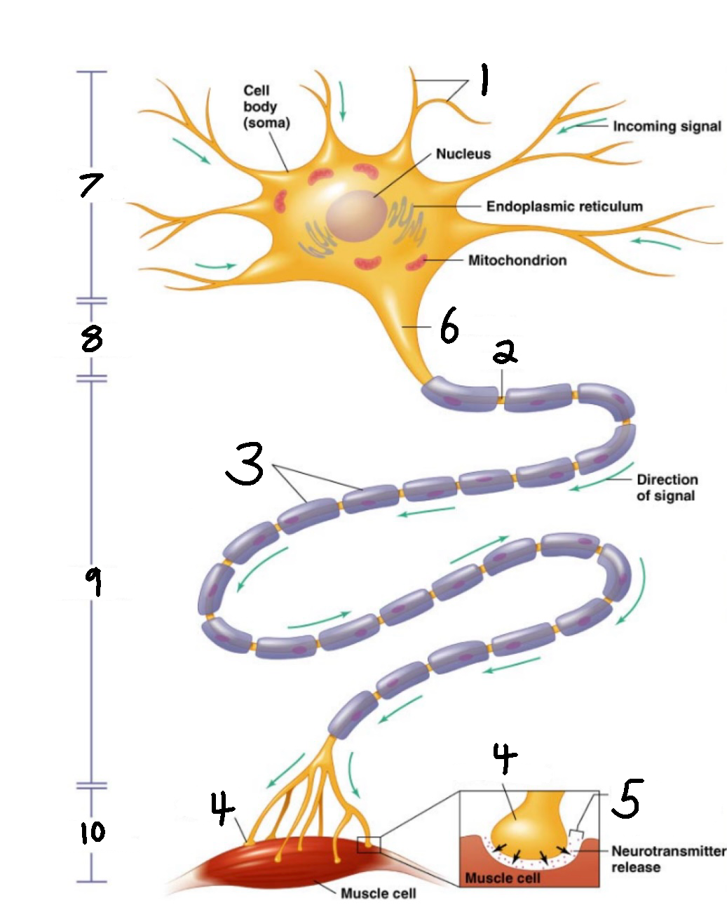 <p>What is #8?</p>