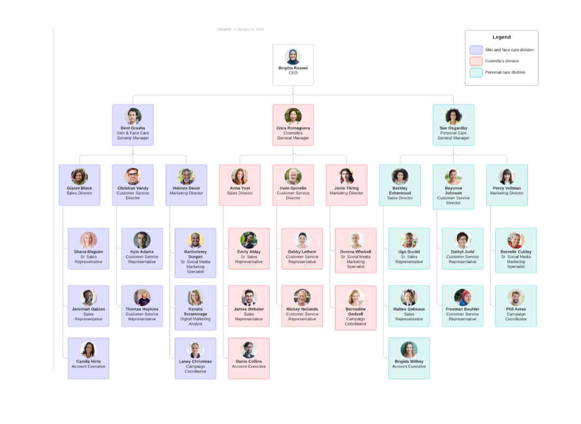 <p>division based on different product lines or categories</p><p>eg a personal care brand does:</p><p>skincare, cosmetics and personal care</p>