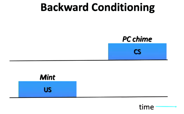 <ul><li><p>US presented before CS</p><ul><li><p>e.g. Food is presented first before whistle</p></li></ul></li></ul><p></p>