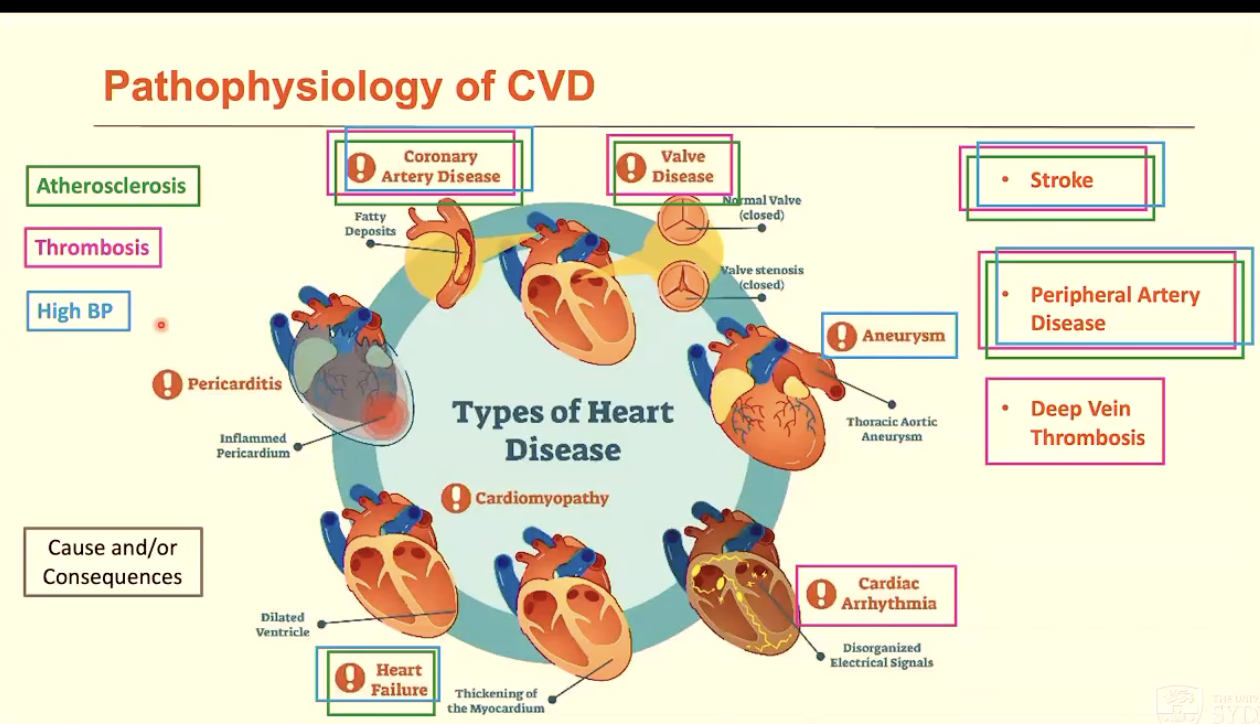 <ol><li><p>Atherosclerosis</p></li><li><p>Thrombosis</p></li><li><p>High BP</p></li></ol><p></p>